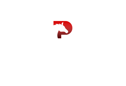 Pegaxy